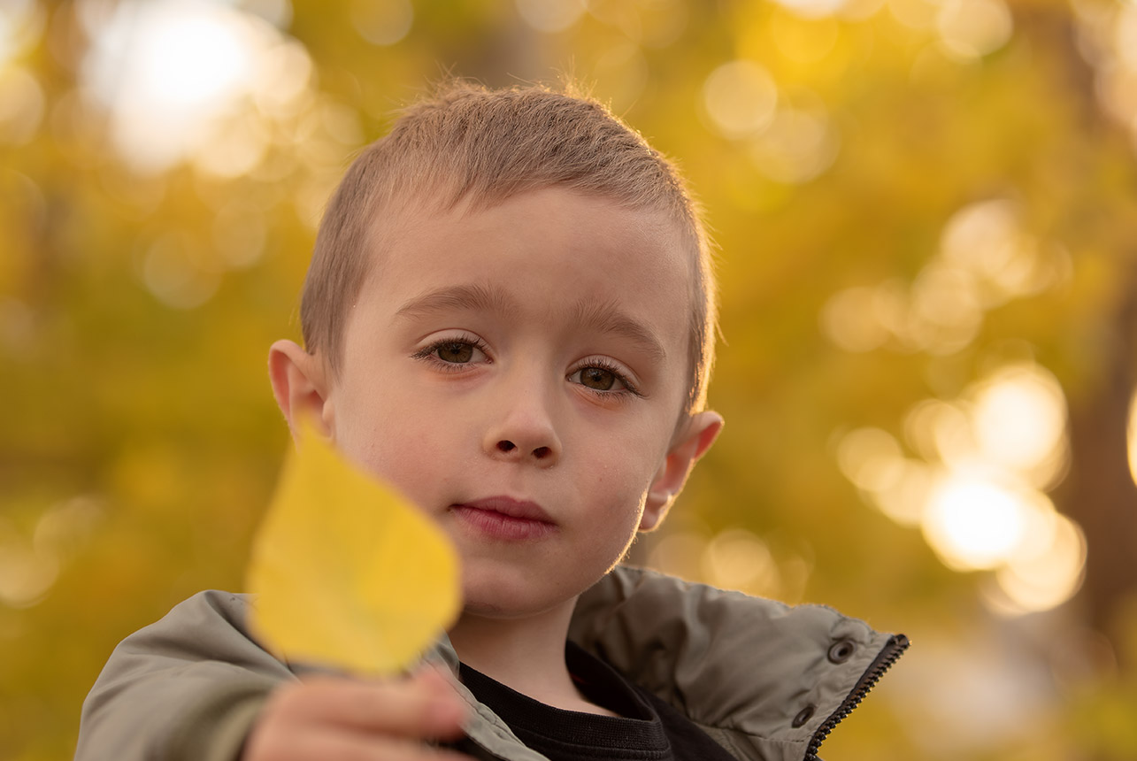 Young boy holding out a colorful fall leaf, stunning bokeh effects in the background